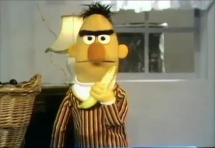 Original Sesame Street Characters Bert