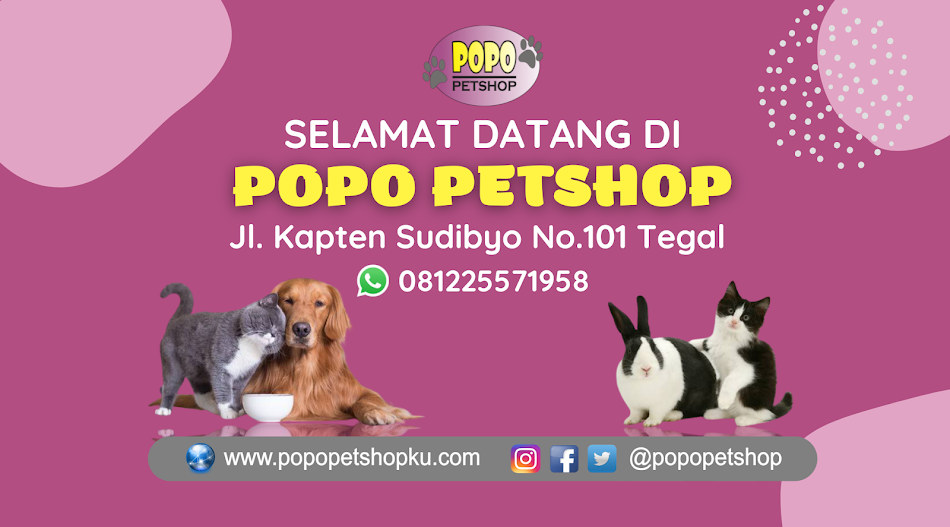 POPO PETSHOP