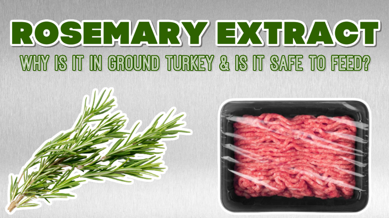 rosemary extract in ground turkey- raw fed dogs, raw fed cats