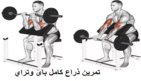 تمرين ذراع كامل باى وتراي