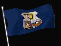 Bandeira do Município de Belém