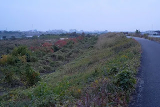 日没の淀川右岸