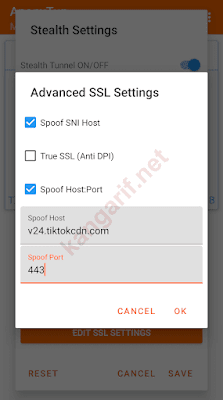 advanced ssl settings