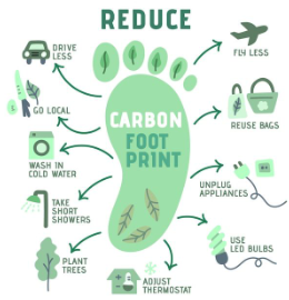 10 Simple Ways to Reduce Your Carbon Footprint in the City
