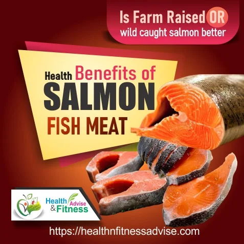 Salmon-Fish-Meat-www-healthnfitnessadvise-com