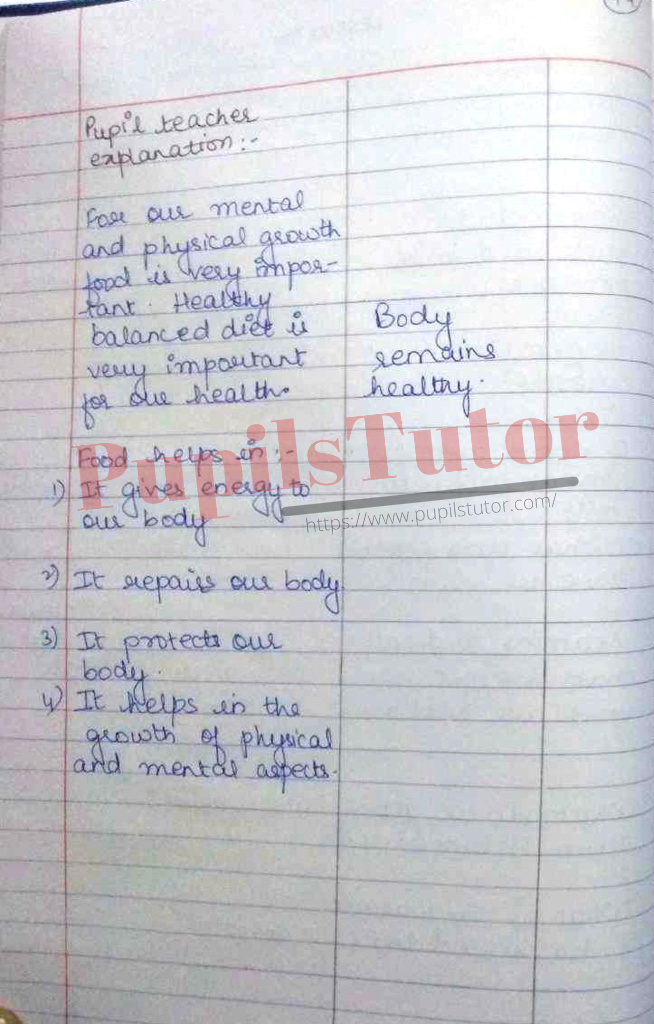 Lesson Plan On Balanced Diet For Class 8th To 11th.  – [Page And Pic Number 5] – https://www.pupilstutor.com/