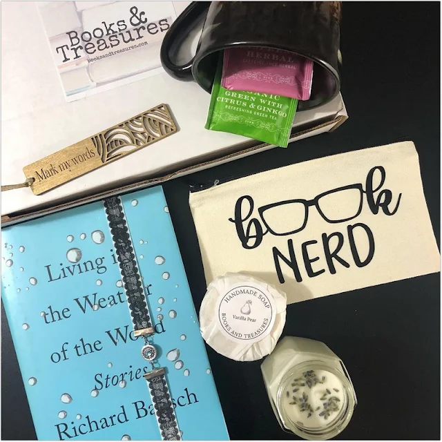 Popular Book Nerd Subscription Box