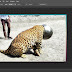 Adobe Photoshop CS6 2021 Free Download Latest Version.