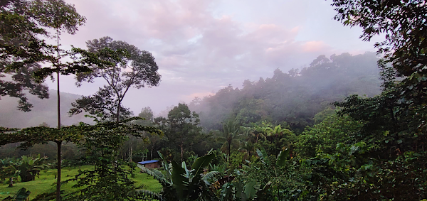 Berembun Rainforest Lodge