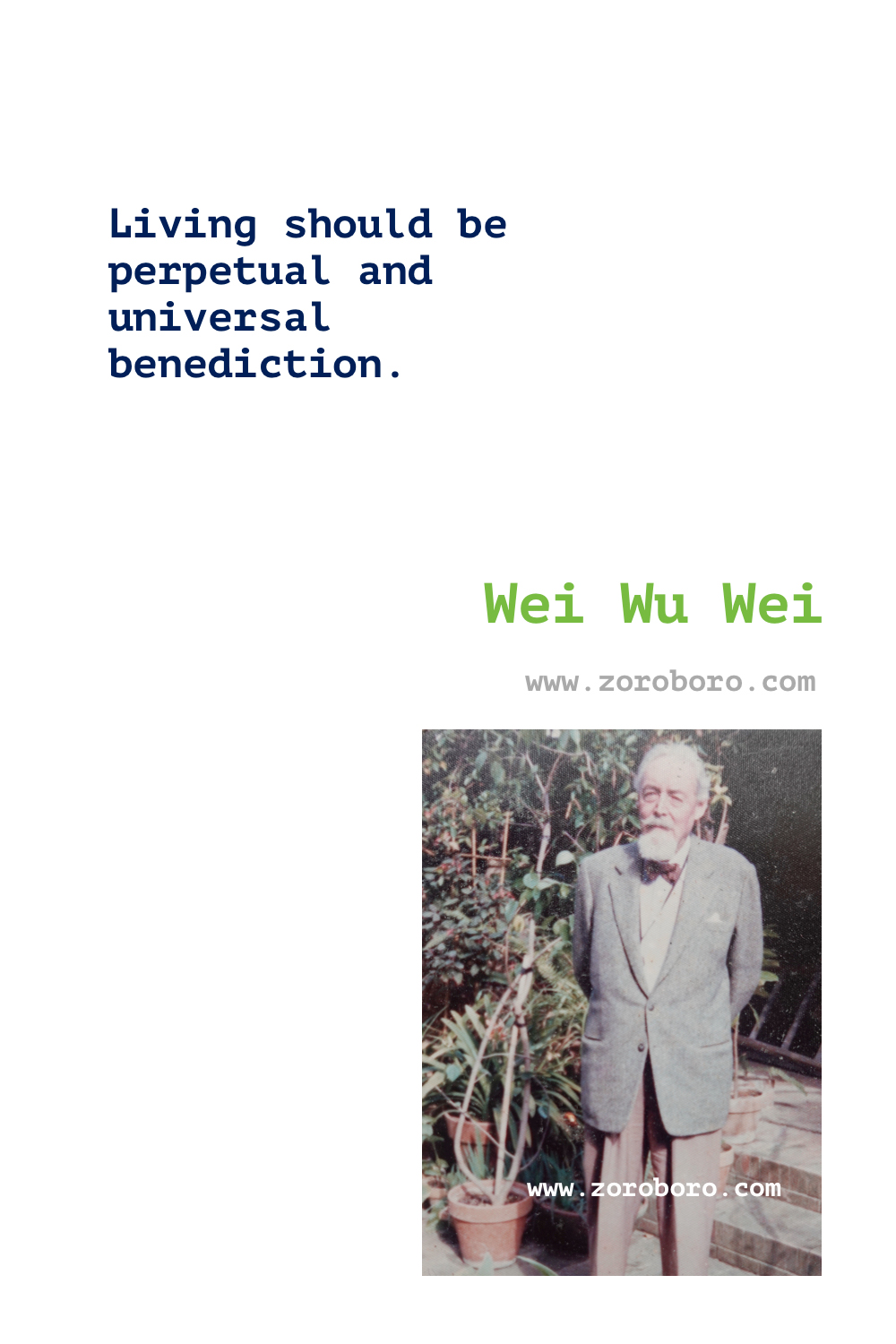 Wei Wu Wei Quotes. Terence Gray Quotes, Spiritual, Yoga & Buddhism Quotes. Wei Wu Wei Philosophy (Author). Wei Wu Wei Books Quotes