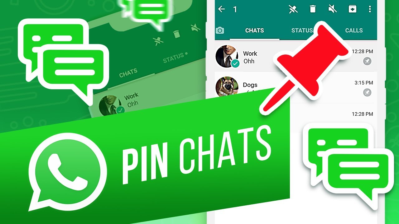 PIN CHATS