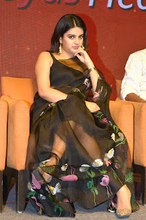 Actress Nidhhi Agerwal stills at Hero movie press meet