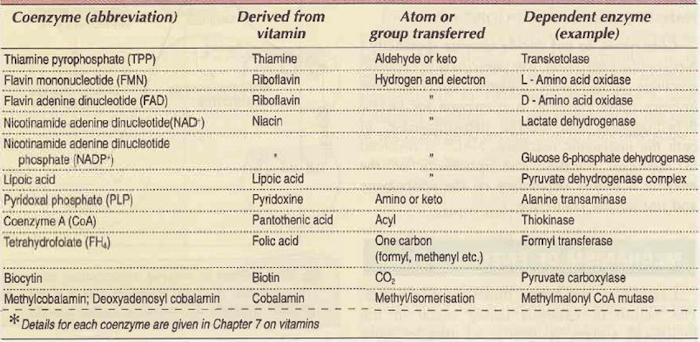 Co-Enzymes Biochemistry and Clinical Pathology B.pharm Class Notes