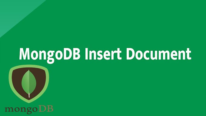 MongoDB Insert Document