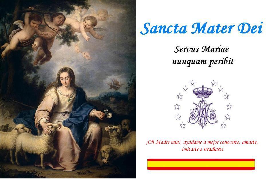 Sancta Mater Dei