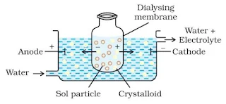 Surface Chemistry Class 12 Chemistry Notes