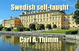 Swedish self-taught