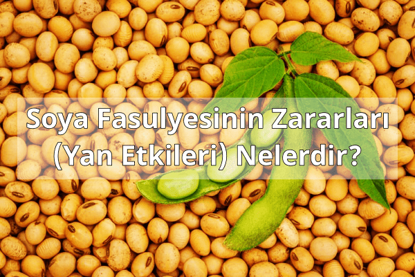 Soya Fasulyesinin Yan Etkileri