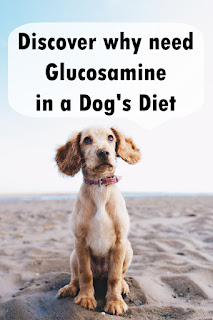 Glucosamine in a Dog's Diet