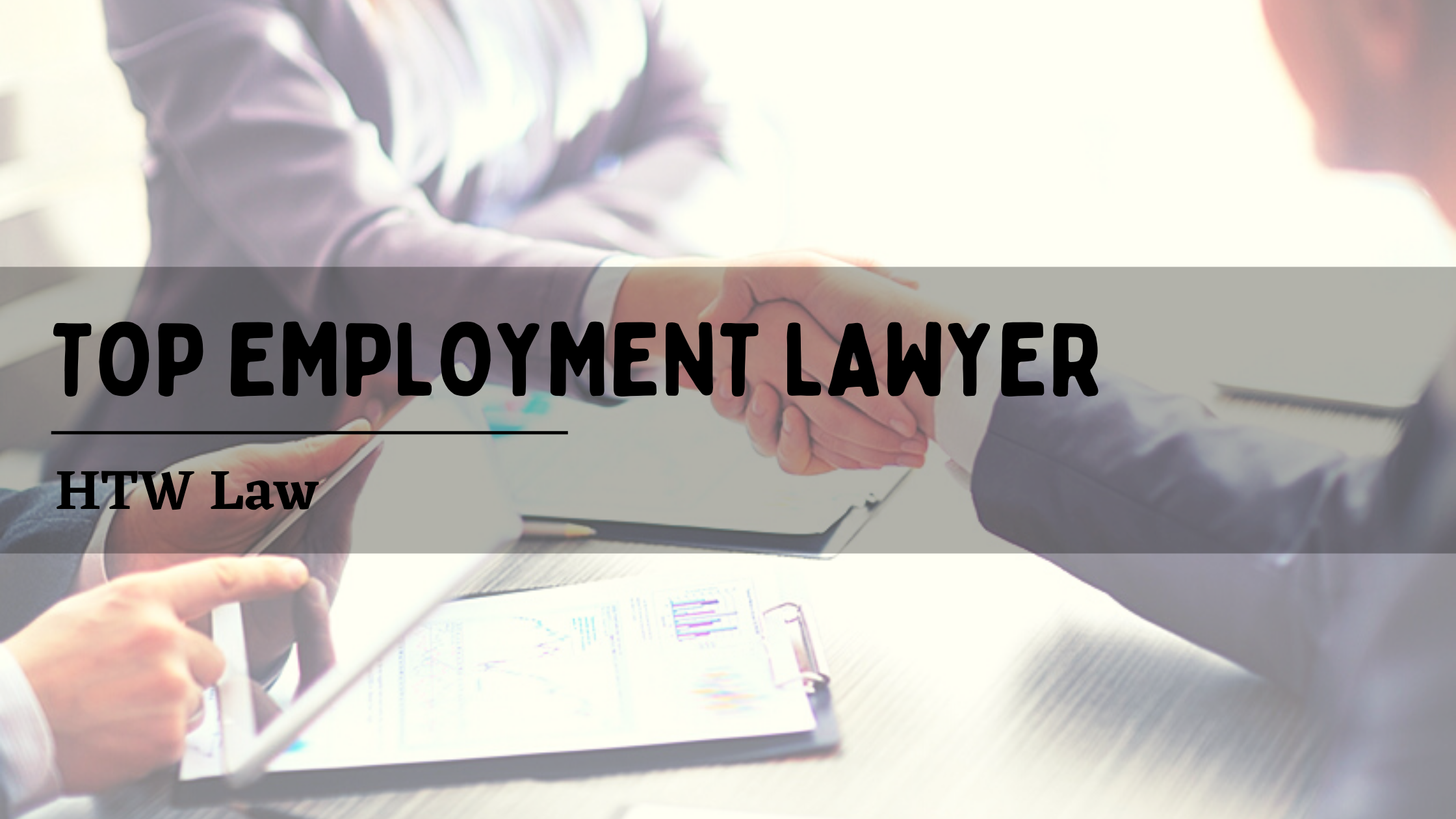 top employment lawyer