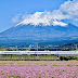 富士山特輯 日本人最喜歡的富士山究竟會爆發