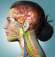 Practice different vagus nerve exercises to become mentally stronger