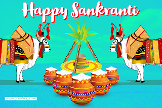 Happy sankranti festival wishes image gangireddulu pongal images