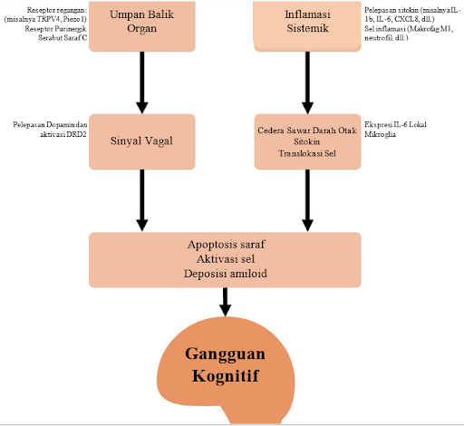 Mekanisme kerusakan otak setelah sakit kritis.