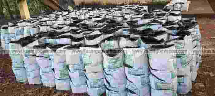 Kasaragod, Kerala, News, Puthige, Krishi Bhavan, Complaint, Demands to check quality of Grow Bags at Puthige Krishi Bhavan.