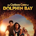 [Movie] The Curious Case of Dolphin Bay (2022) – Hollywood Movie - Mp4 Download