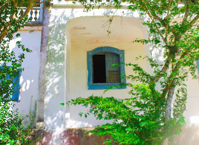 Fazenda Campos Novos - RJ, História do Brasil, História Cabo Frio, Histótria de Búzios, Comunidades Quilombolas, Histórias Quilombolas da região dos lagos, Dia do quilombola em Armação dos Búzios,