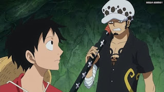 ワンピースアニメ ゾウ編 771話 ルフィ Monkey D. Luffy トラファルガー・ロー | ONE PIECE Episode 771