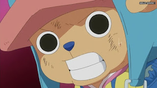 ワンピースアニメ WCI編 806話 チョッパー かわいい Tony Tony Chopper  | ONE PIECE Episode 806