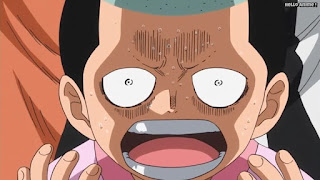 ワンピースアニメ ゾウ編 774話 光月モモの助 | ONE PIECE Episode 774