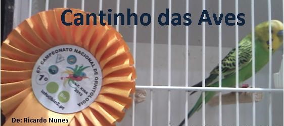 Cantinho das Aves