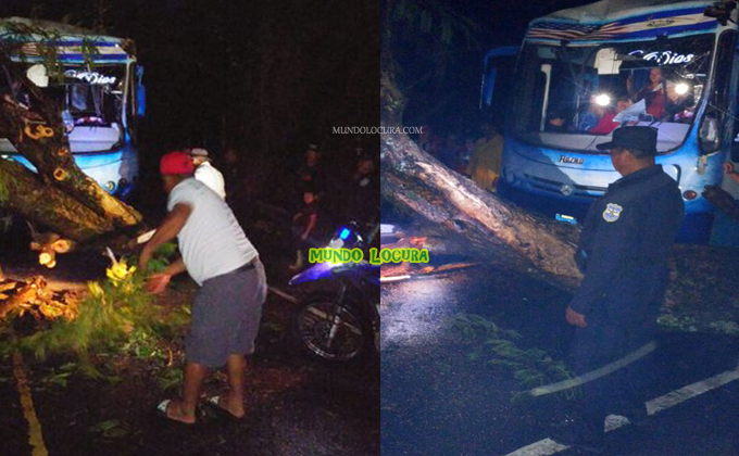 El Salvador: PNC reporta la caída de un árbol sobre un bus con excursionistas