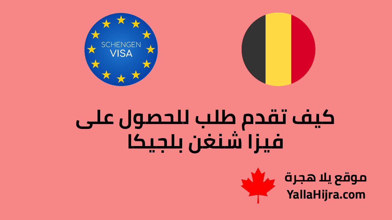 كيف تقدم طلب للحصول على فيزا شنغن بلجيكا.. الأوراق المطلوبة والشروط والرسوم