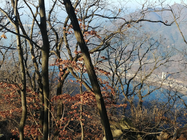 검단산 애니메이션고~곱돌약수~정상~팔당대교 코스 탐방기록