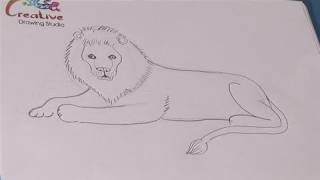 How to draw Lion (Lion drawing easy drawing with colour)