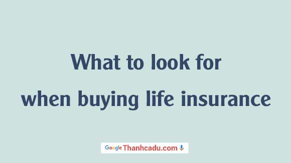 what to look for when choosing life insurance