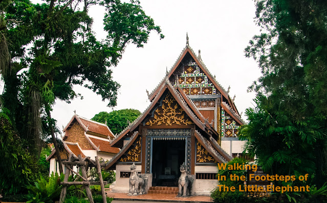 Wat Nong Bua in Nan province