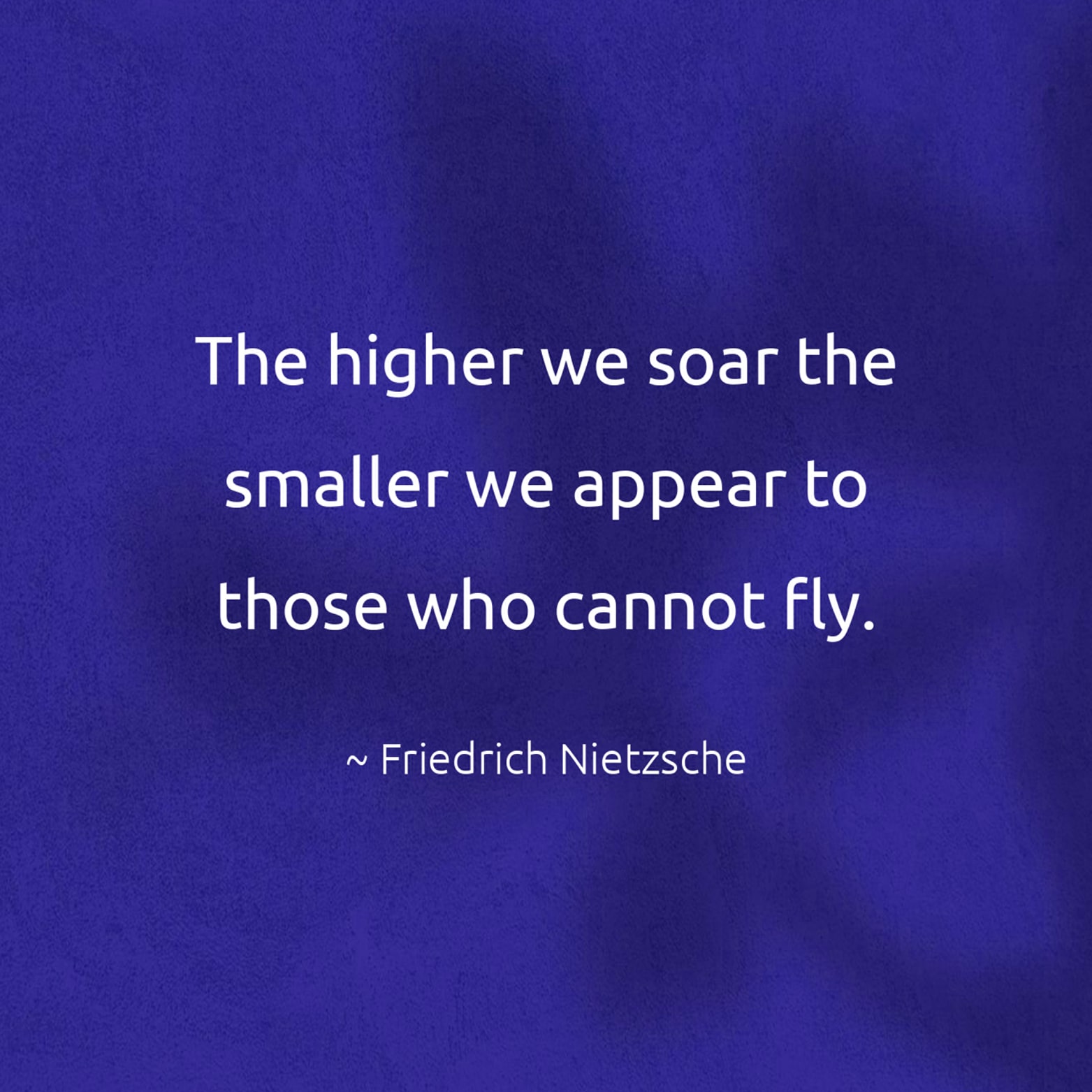 The higher we soar the smaller we appear to those who cannot fly. - Friedrich Nietzsche