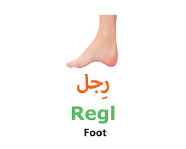 Foot