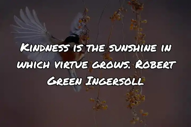 Kindness is the sunshine in which virtue grows. Robert Green Ingersoll