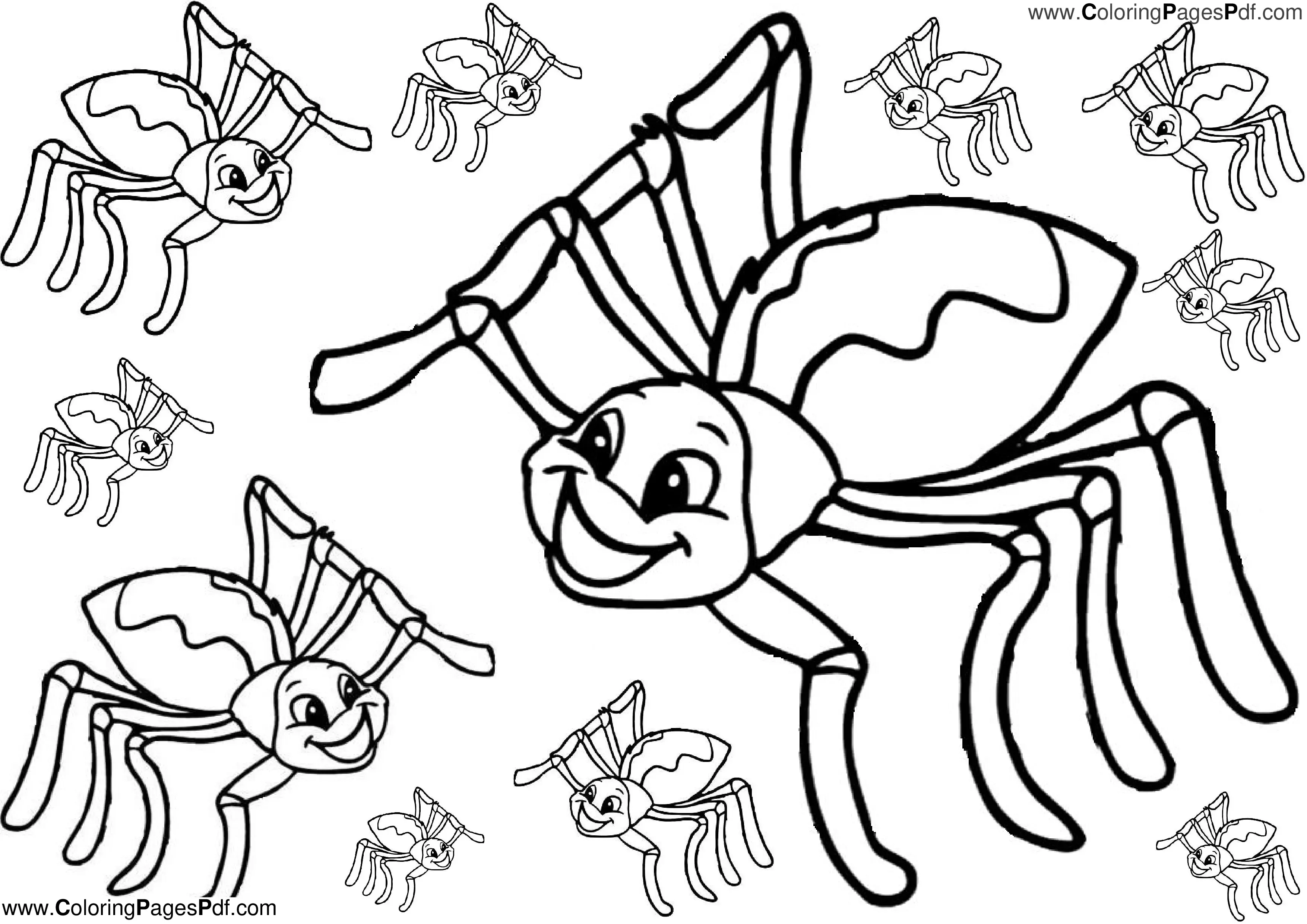 spider printable coloring pages,spider coloring page printable,spider coloring pages to print,coloring sheets,color by number printable,heart coloring page,printable coloring sheets,bluey coloring page