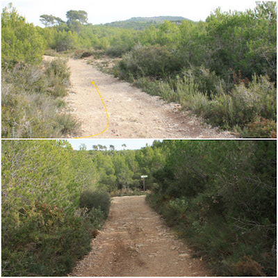 BONASTRE-LA MOLA-BOSC DE L'OBAGA DEL MAIÀ-MUNTANYES DEL TET-MASIA D'ESCANSA, Ruta Bonastrec i Camí d'Albinyana a Masarbonès