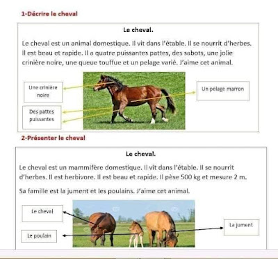 ملخصات رائعة في اللغة الفرنسية للسنة الخامسة ابتدائي الجيل الثاني 2021-2022