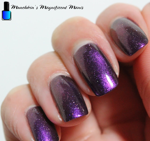 Holo Taco- Magnetic Polish- Queen's Curse