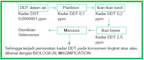 Bila dalam ekosistem air terjadi pencemaran DDT, akan terjadi rantai aliran DDT sebagai berikut