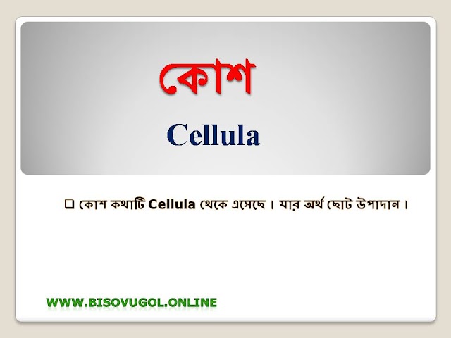 কোশ শব্দের  অর্থ কি ? Cellula  যার অর্থ ছোট উপাদান ।